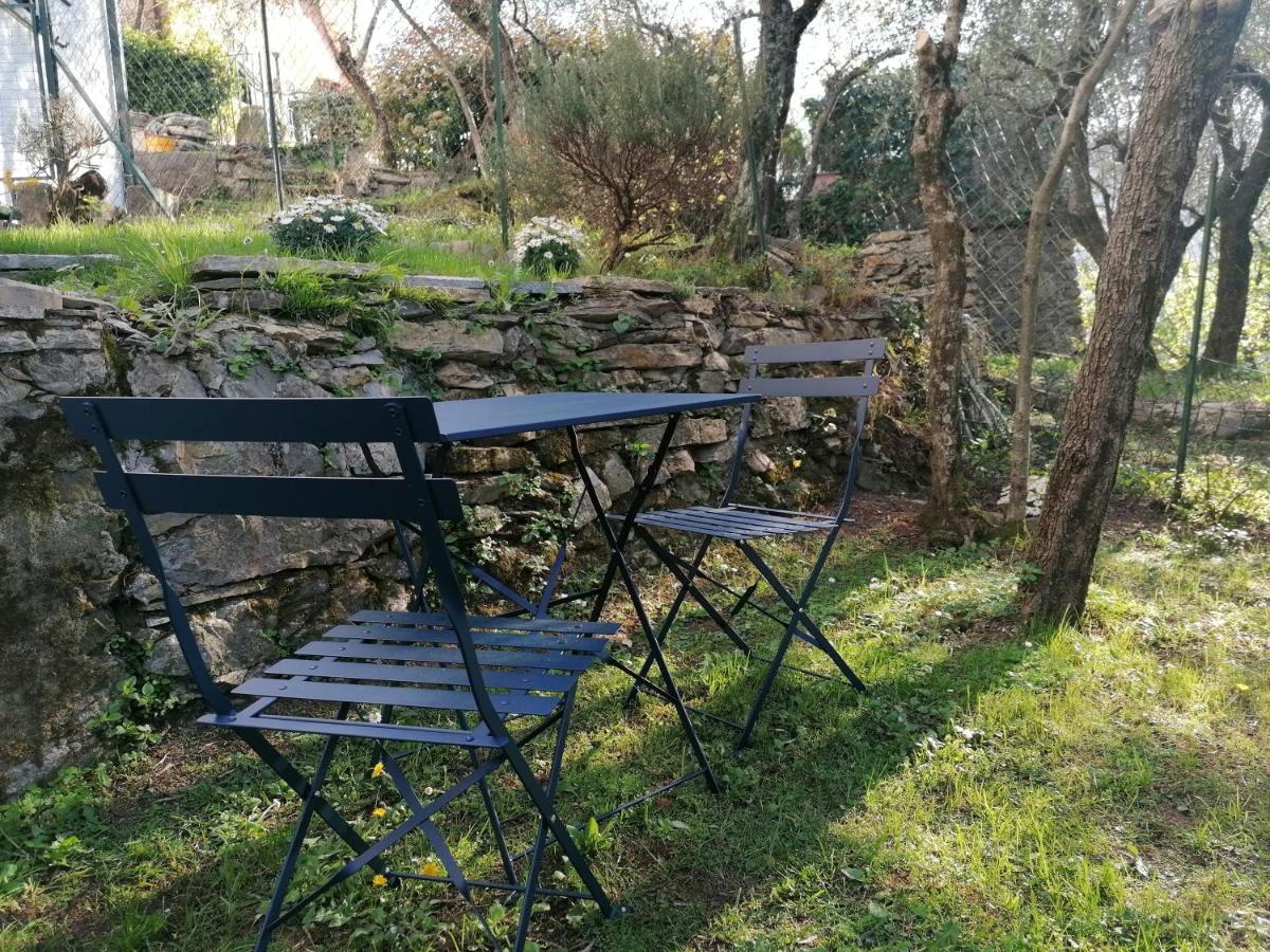 Nonna Paola Guest House Leivi 외부 사진