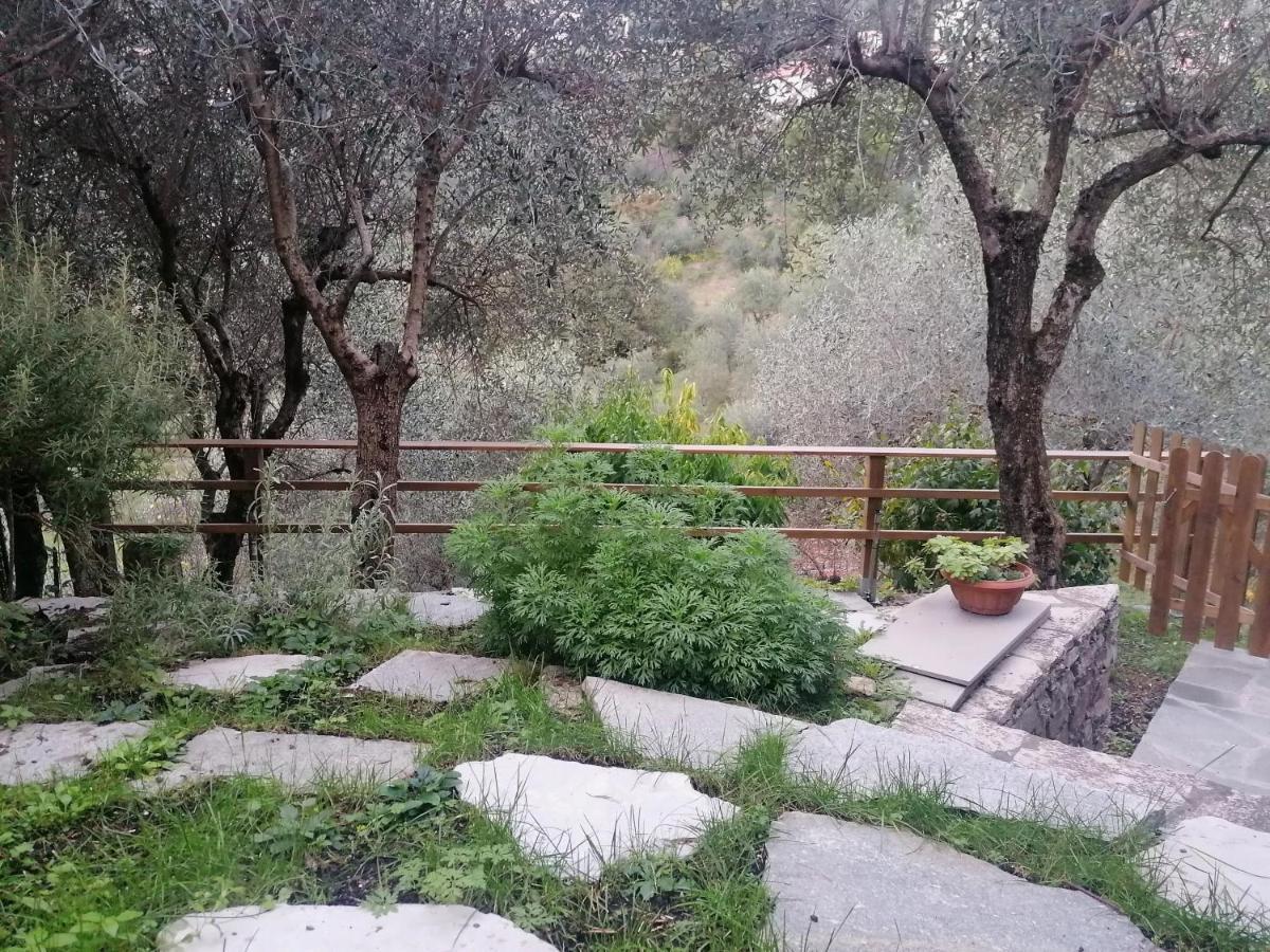 Nonna Paola Guest House Leivi 외부 사진